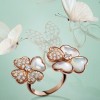 梵克雅寶(Van Cleef & Arpels):化優雅于指間-精美珠寶【秘密:適合高貴女人的珠寶】