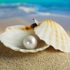 珍珠(Pearl)-珠寶首飾展示圖【行業經典】