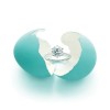 Tiffany Setting:真愛信物-精美珠寶【秘密:適合高貴女人的珠寶】