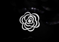 CHANEL珠寶：優雅山茶花-精美珠寶【秘密：適合高貴女人的珠寶】