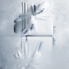 冰雪世界 香奈兒Chanel Haute Joaillerie高級珠寶-精美珠寶【秘密:適合高貴女人的珠寶】