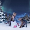 冬季童話 卡地亞2012 Winter Tale圣誕影片-珠寶首飾展示【行業精選】