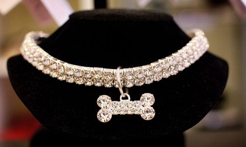 SWAROVSKI用水晶武裝你的寵物-珠寶首飾展示圖【行業經典】
