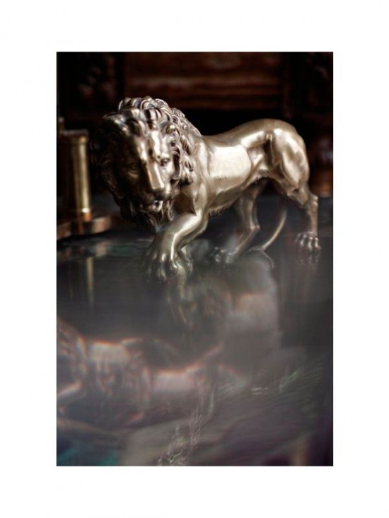 Chanel：與獅相伴-品牌感人故事
