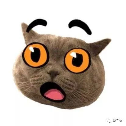 人類首張黑洞照片引熱議，宇宙戴身上一定很酷！