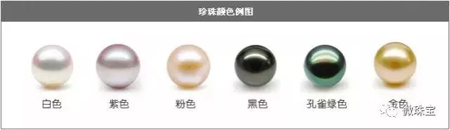 怎樣挑選珍珠？淡水珍珠與海水珍珠的區別？【珍珠選購指導】