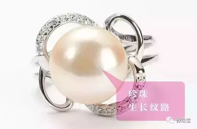 怎樣挑選珍珠？淡水珍珠與海水珍珠的區別？【珍珠選購指導】