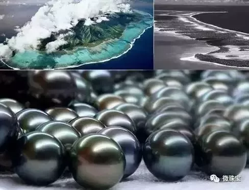 怎樣挑選珍珠？淡水珍珠與海水珍珠的區別？【珍珠選購指導】