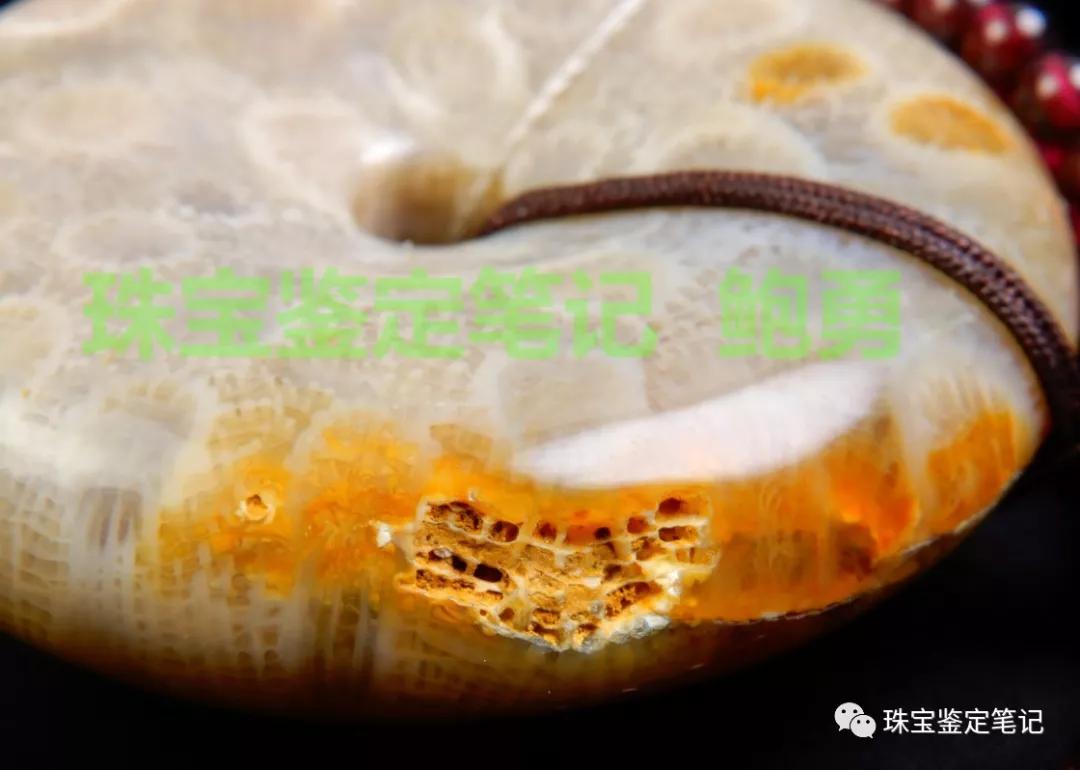 【印尼珊瑚玉圖片】珊瑚玉什么顏色最珍貴？
