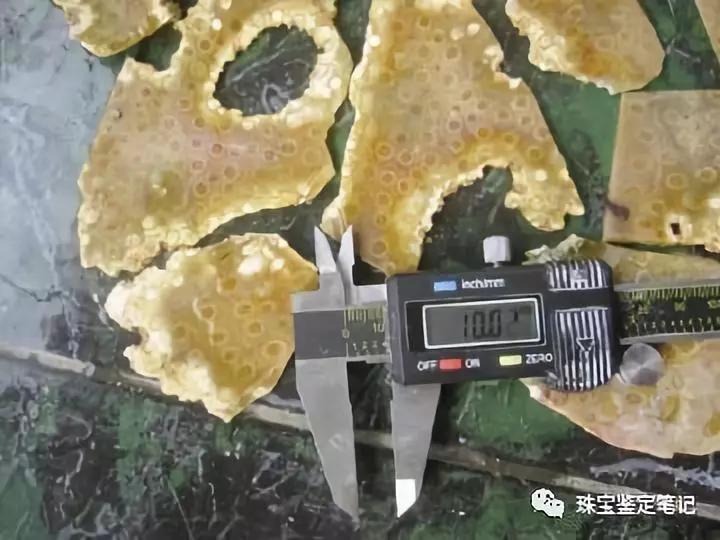 【印尼珊瑚玉圖片】珊瑚玉什么顏色最珍貴？