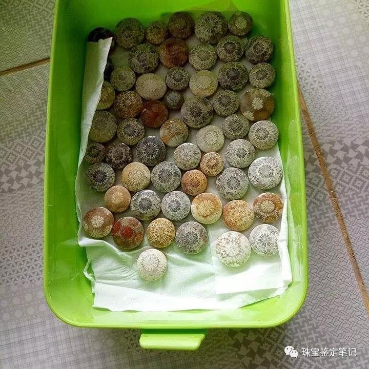 【印尼珊瑚玉圖片】珊瑚玉什么顏色最珍貴？