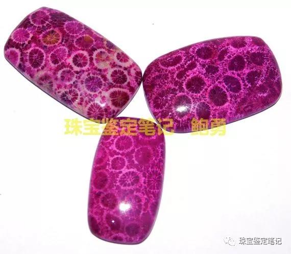 【印尼珊瑚玉圖片】珊瑚玉什么顏色最珍貴？