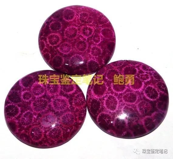 【印尼珊瑚玉圖片】珊瑚玉什么顏色最珍貴？