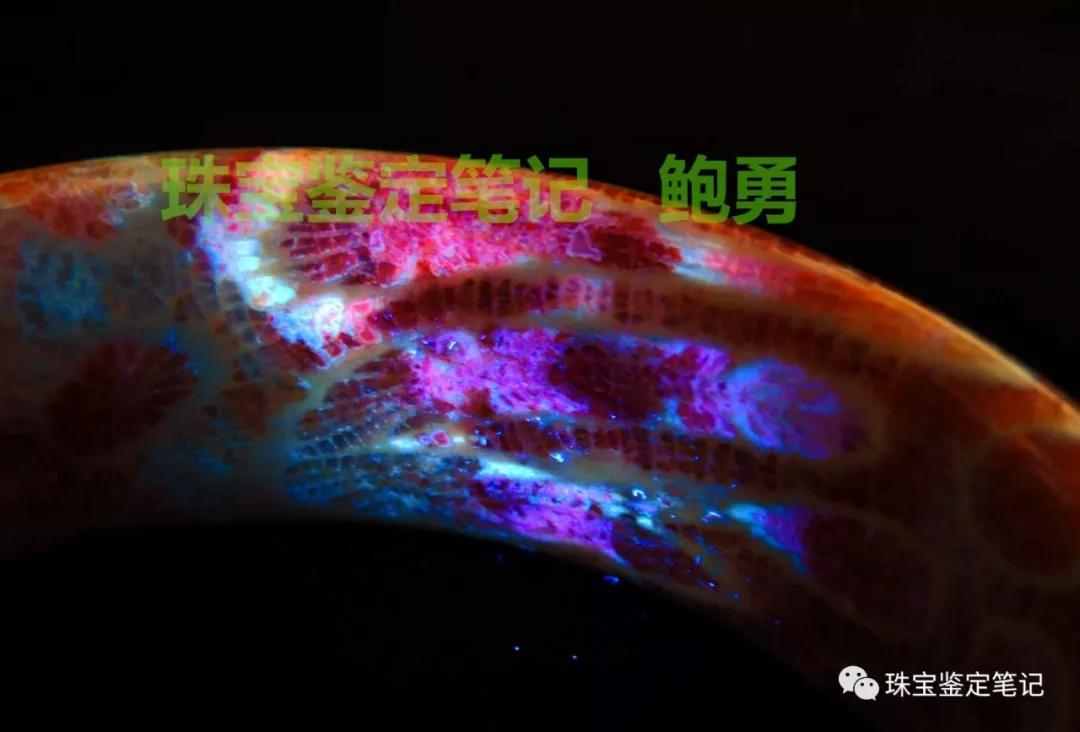 【印尼珊瑚玉圖片】珊瑚玉什么顏色最珍貴？