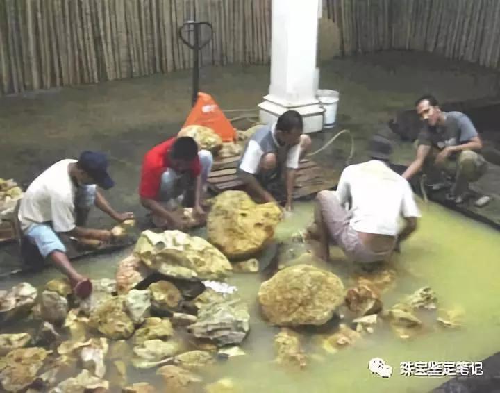 【印尼珊瑚玉圖片】珊瑚玉什么顏色最珍貴？