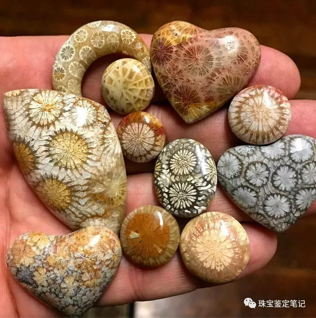 【印尼珊瑚玉圖片】珊瑚玉什么顏色最珍貴？