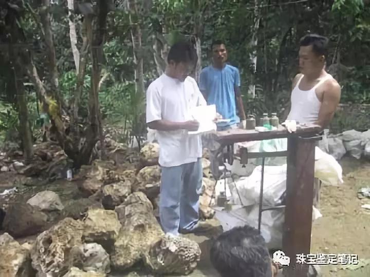 【印尼珊瑚玉圖片】珊瑚玉什么顏色最珍貴？