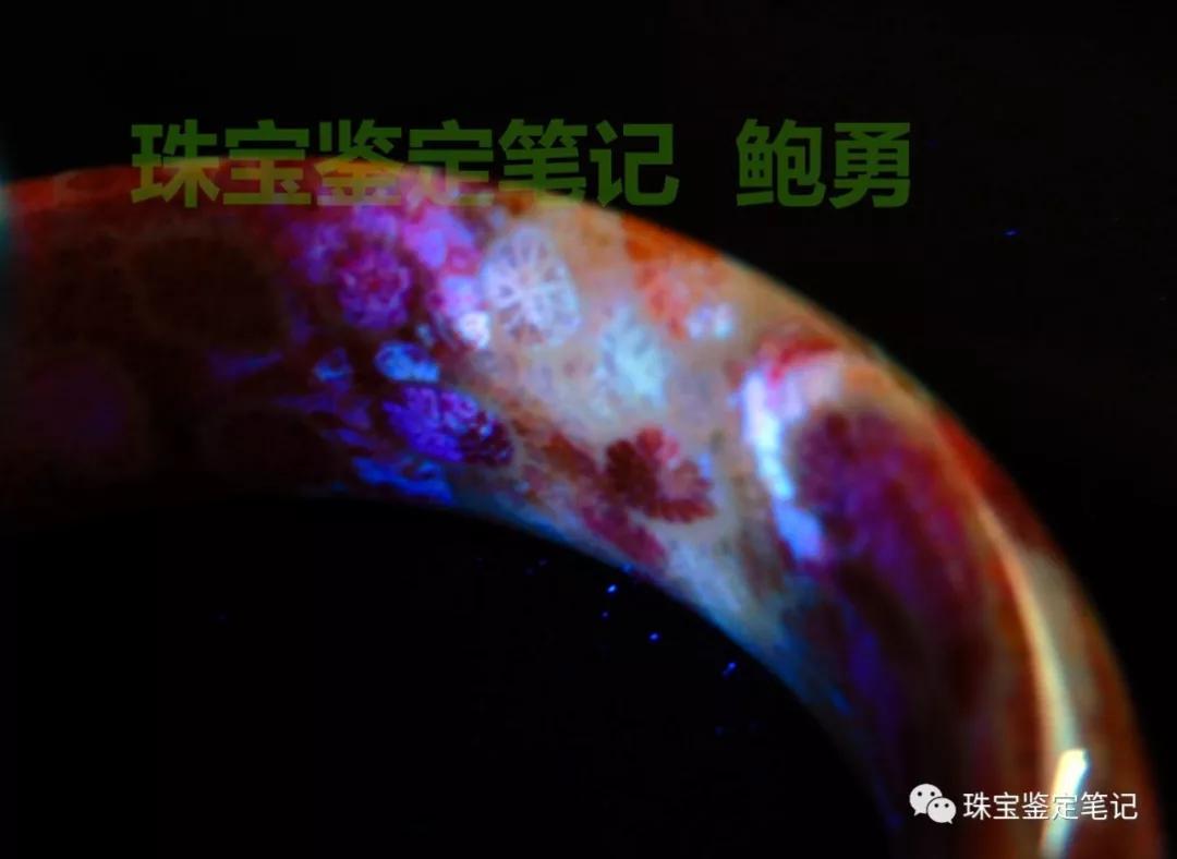 【印尼珊瑚玉圖片】珊瑚玉什么顏色最珍貴？