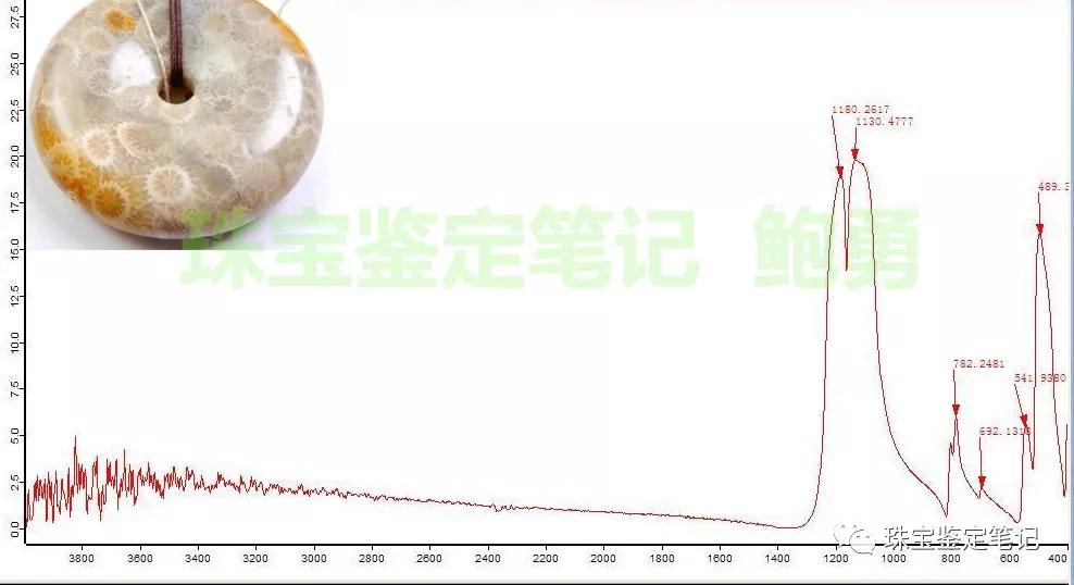 【印尼珊瑚玉圖片】珊瑚玉什么顏色最珍貴？