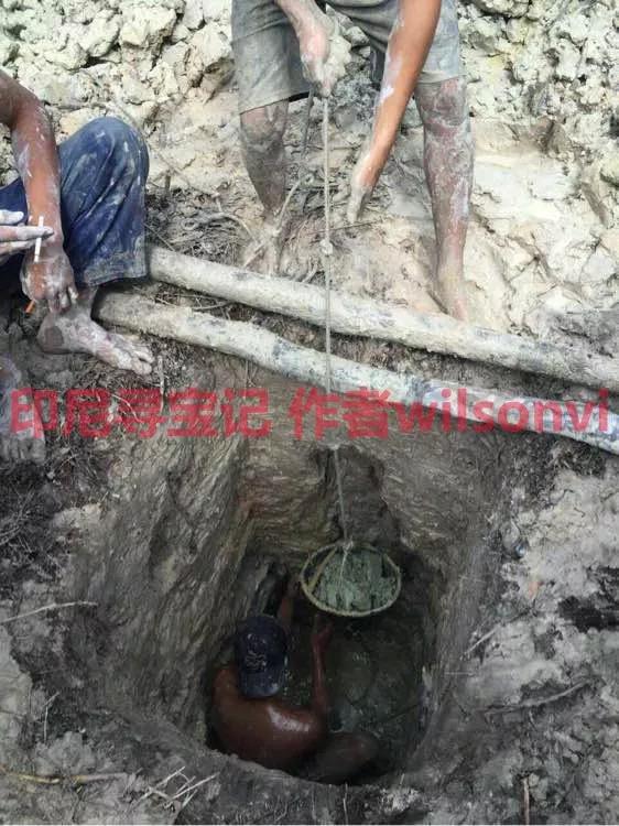 【印尼珊瑚玉圖片】珊瑚玉什么顏色最珍貴？
