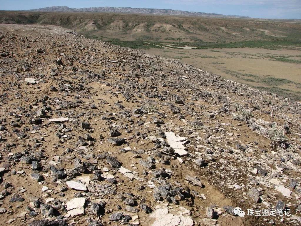 法螺天珠的騙局,塔螺瑪瑙（Turritella Agate）鑒定【塔螺瑪瑙】