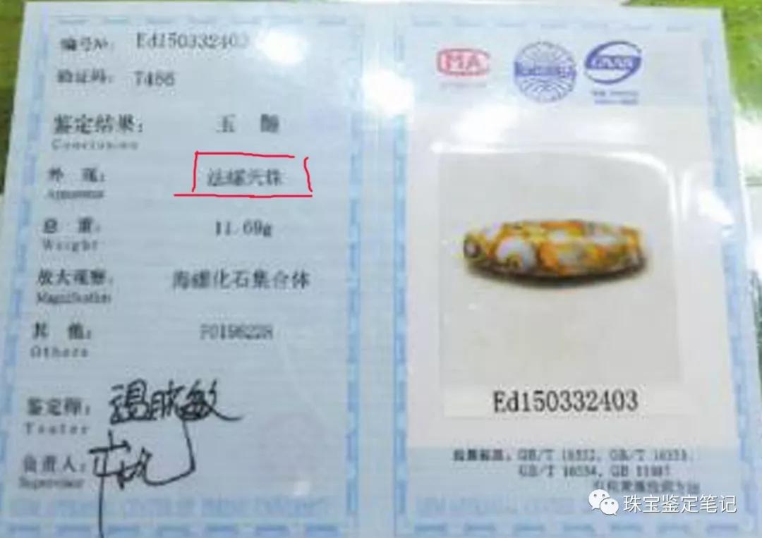 法螺天珠的騙局,塔螺瑪瑙（Turritella Agate）鑒定【塔螺瑪瑙】