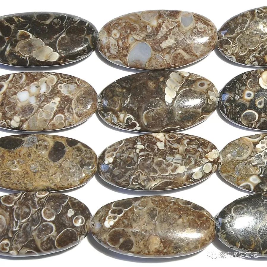 法螺天珠的騙局,塔螺瑪瑙（Turritella Agate）鑒定【塔螺瑪瑙】