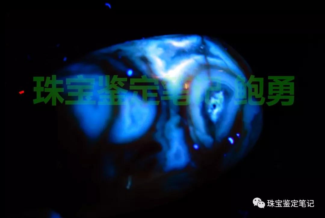 法螺天珠的騙局,塔螺瑪瑙（Turritella Agate）鑒定【塔螺瑪瑙】