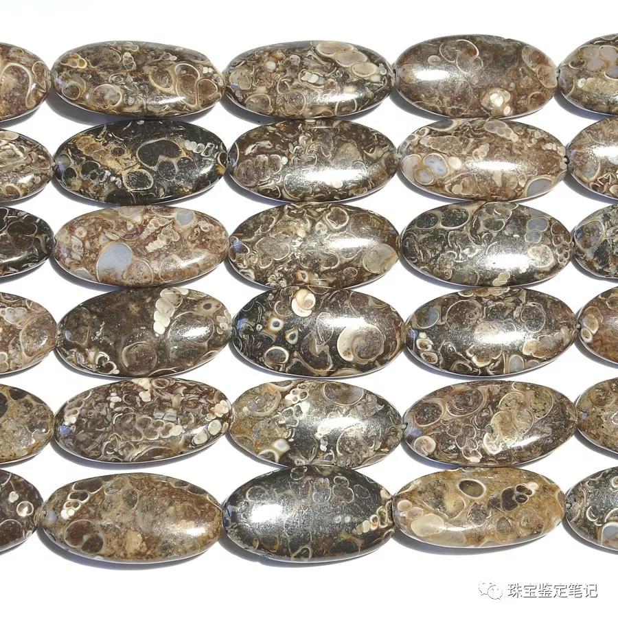 法螺天珠的騙局,塔螺瑪瑙（Turritella Agate）鑒定【塔螺瑪瑙】