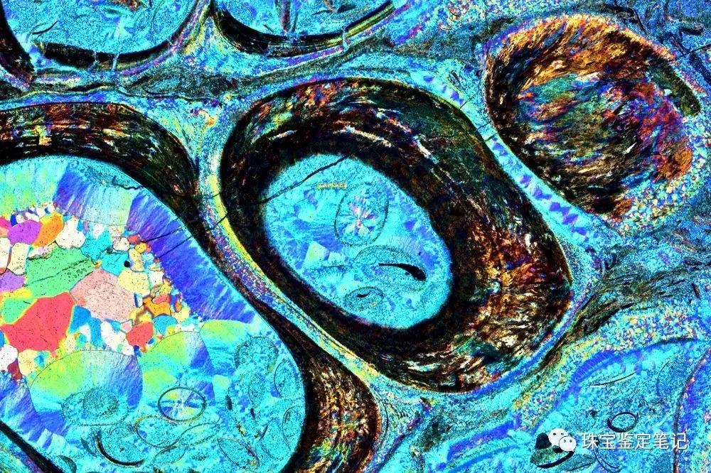 法螺天珠的騙局,塔螺瑪瑙（Turritella Agate）鑒定【塔螺瑪瑙】