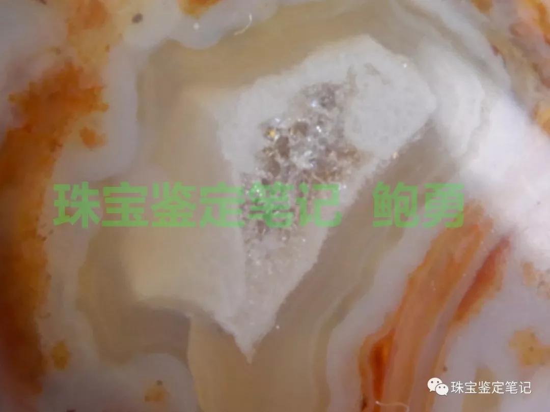 法螺天珠的騙局,塔螺瑪瑙（Turritella Agate）鑒定【塔螺瑪瑙】
