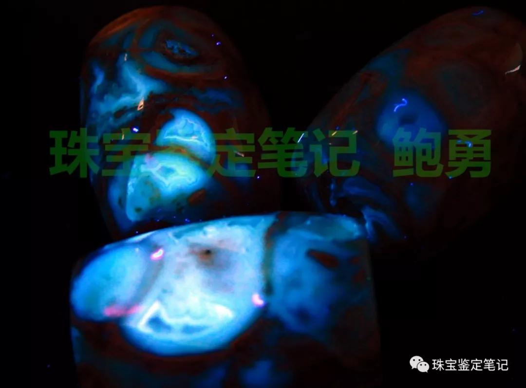 法螺天珠的騙局,塔螺瑪瑙（Turritella Agate）鑒定【塔螺瑪瑙】