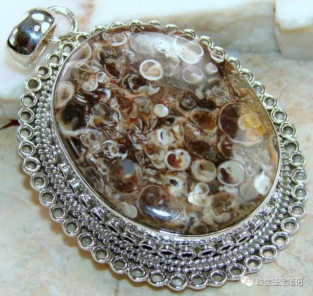 法螺天珠的騙局,塔螺瑪瑙（Turritella Agate）鑒定【塔螺瑪瑙】