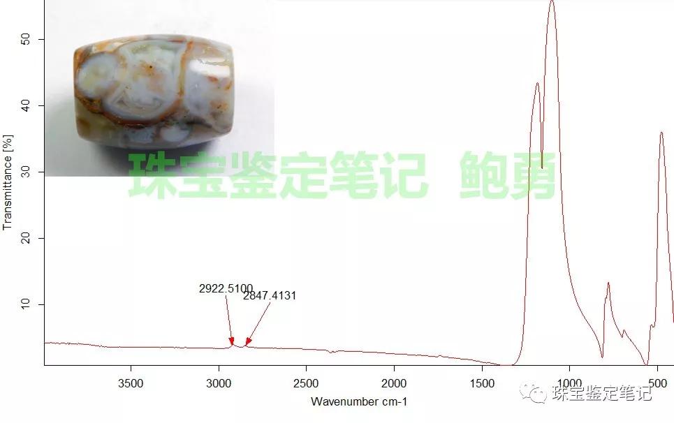 法螺天珠的騙局,塔螺瑪瑙（Turritella Agate）鑒定【塔螺瑪瑙】