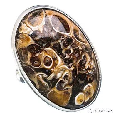 法螺天珠的騙局,塔螺瑪瑙（Turritella Agate）鑒定【塔螺瑪瑙】