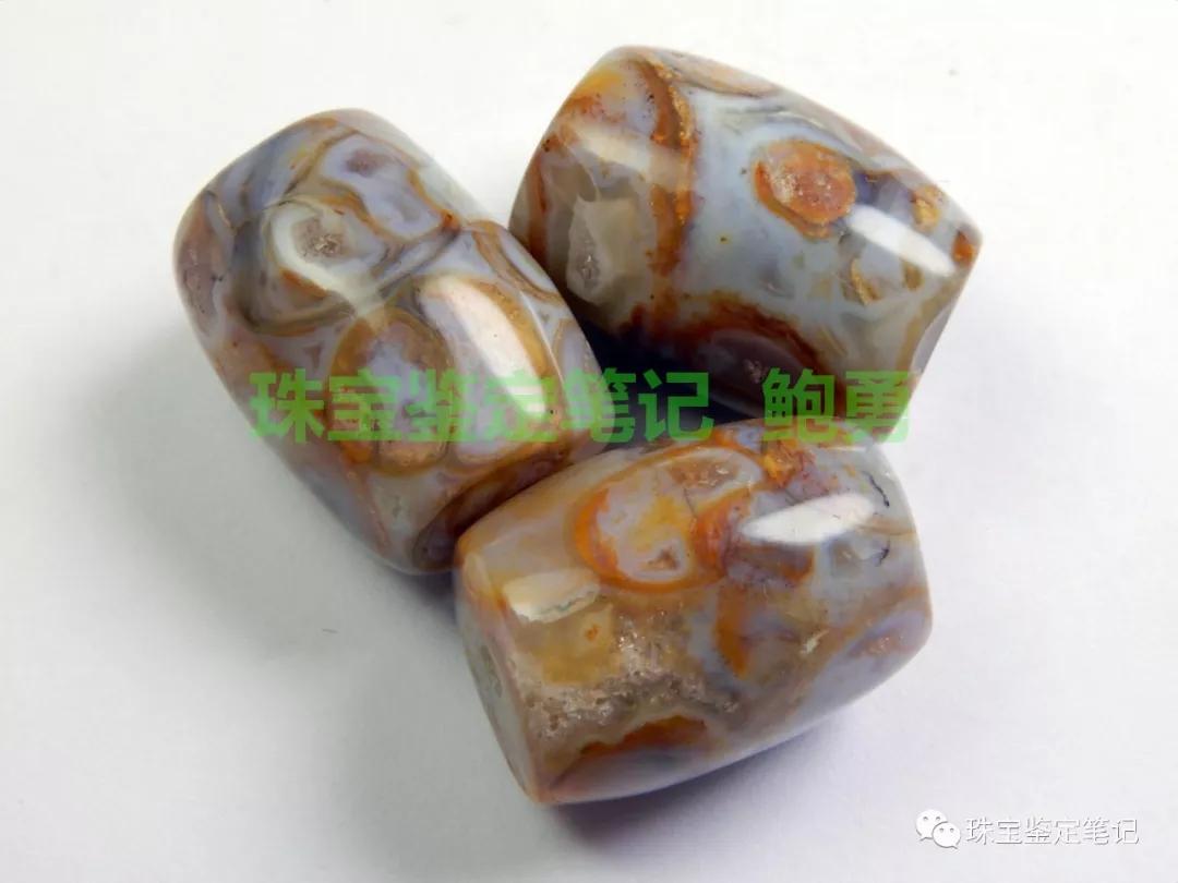 法螺天珠的騙局,塔螺瑪瑙（Turritella Agate）鑒定【塔螺瑪瑙】