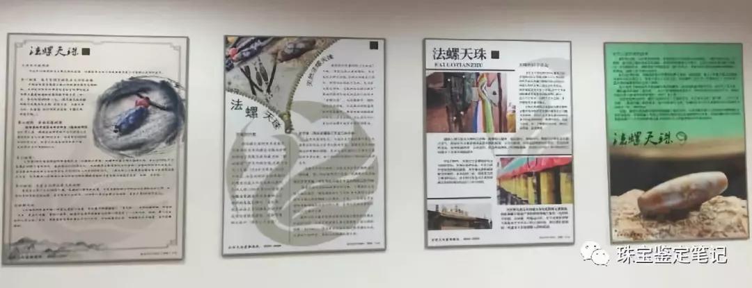 法螺天珠的騙局,塔螺瑪瑙（Turritella Agate）鑒定【塔螺瑪瑙】