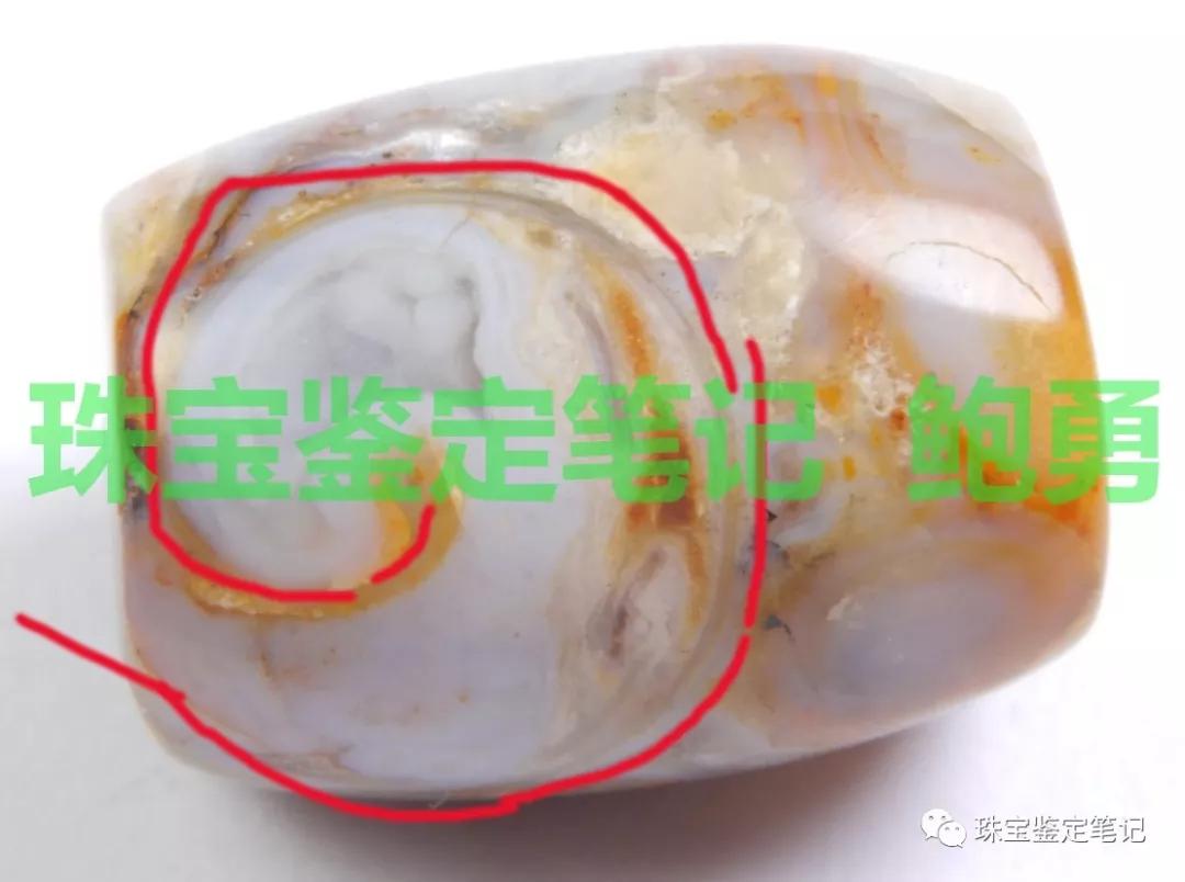 法螺天珠的騙局,塔螺瑪瑙（Turritella Agate）鑒定【塔螺瑪瑙】