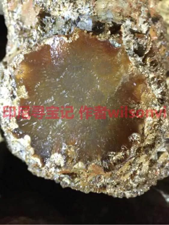 印尼珊瑚玉是什么?印尼珊瑚玉圖片【解讀】