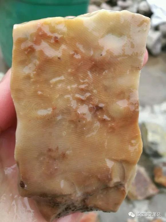 陜西寧強珊瑚玉-寧強珊瑚玉的詳細介紹【推薦觀看】