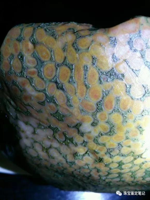 陜西寧強珊瑚玉-寧強珊瑚玉的詳細介紹【推薦觀看】