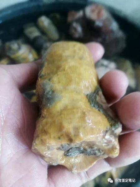 陜西寧強珊瑚玉-寧強珊瑚玉的詳細介紹【推薦觀看】