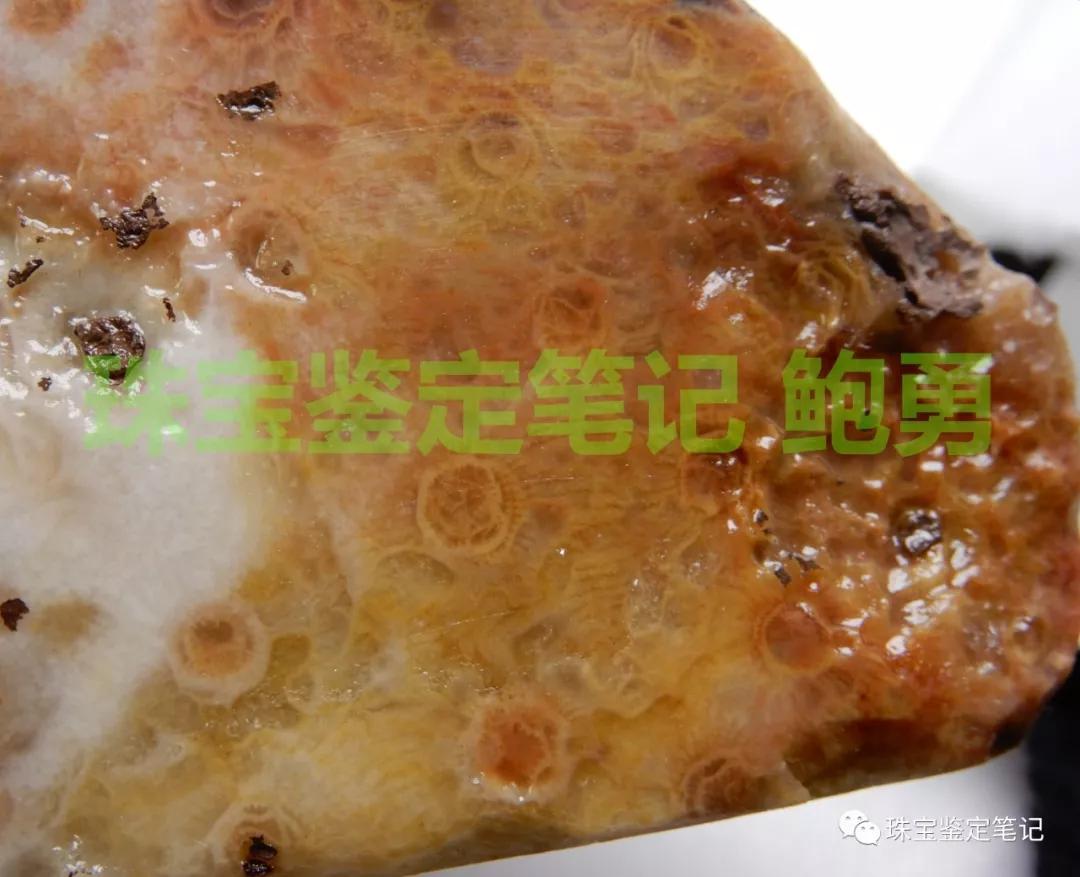 陜西寧強珊瑚玉-寧強珊瑚玉的詳細介紹【推薦觀看】