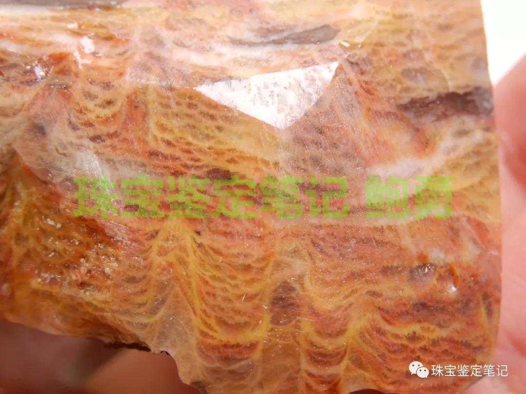 陜西寧強珊瑚玉-寧強珊瑚玉的詳細介紹【推薦觀看】