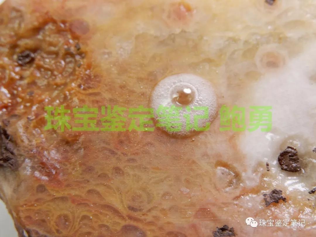 陜西寧強珊瑚玉-寧強珊瑚玉的詳細介紹【推薦觀看】