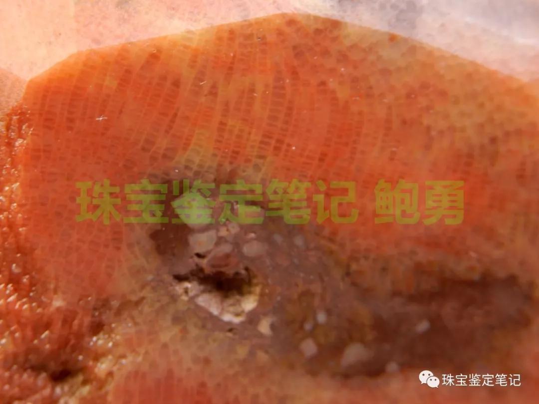 陜西寧強珊瑚玉-寧強珊瑚玉的詳細介紹【推薦觀看】
