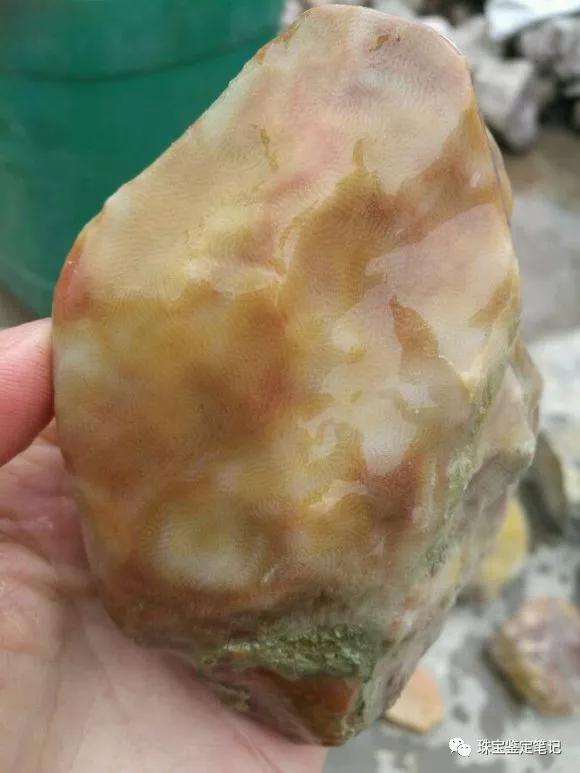 陜西寧強珊瑚玉-寧強珊瑚玉的詳細介紹【推薦觀看】