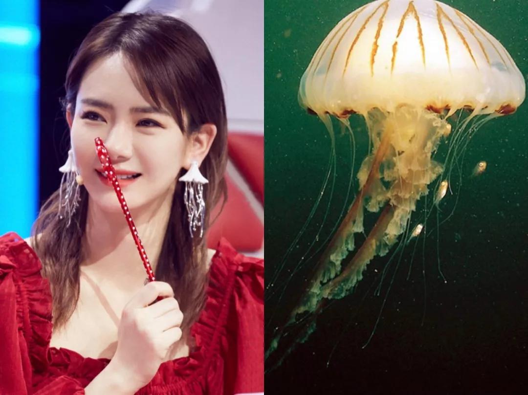 為什么有的人戴大耳環？大耳環適合什么臉型