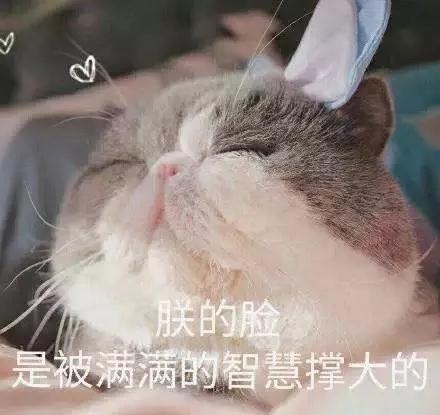 為什么有的人戴大耳環？大耳環適合什么臉型