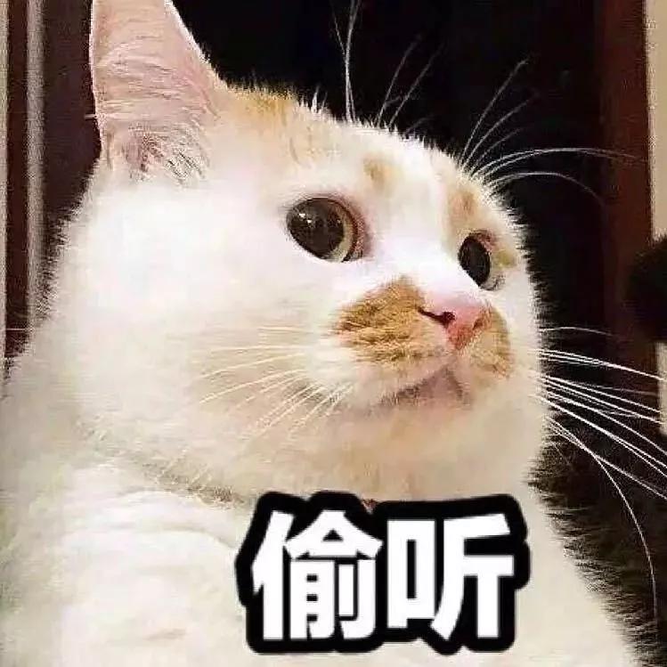 天然碧璽有哪幾種？碧璽種類大全,碧璽是什么